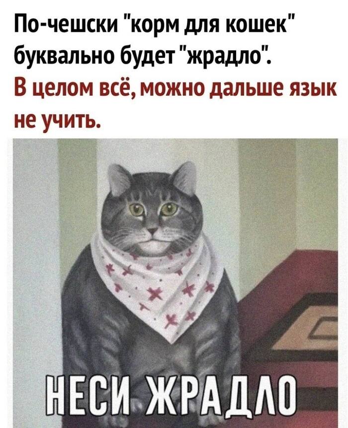 Заголовок поста #2