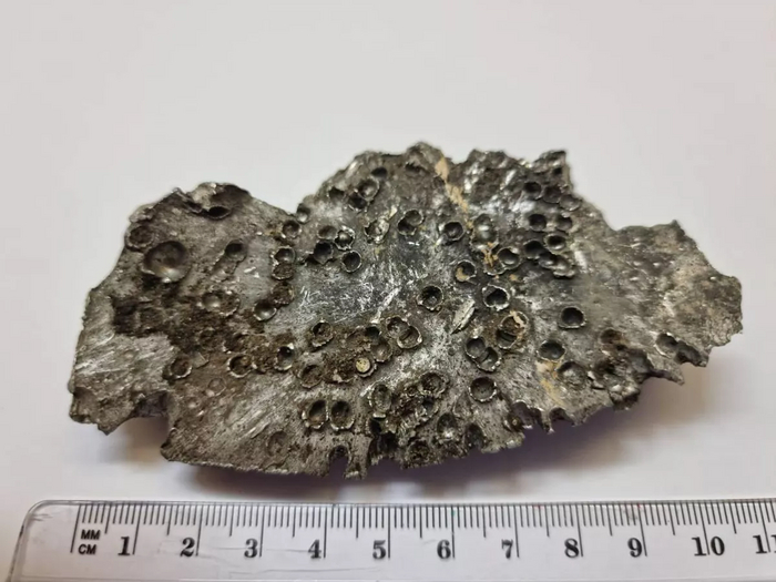 Прокремлевский информационный пузырь Мефодия -137(513)