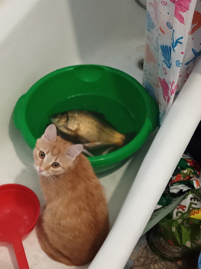 Первый пост!