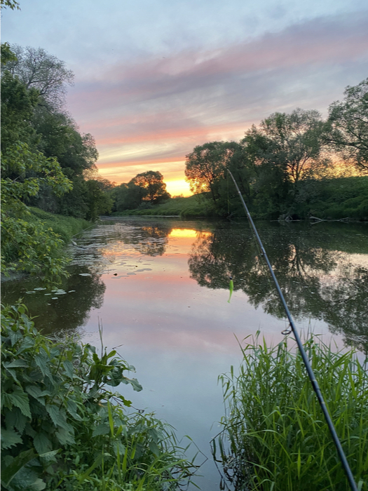 ������� ��������� �� ����� �������� ������