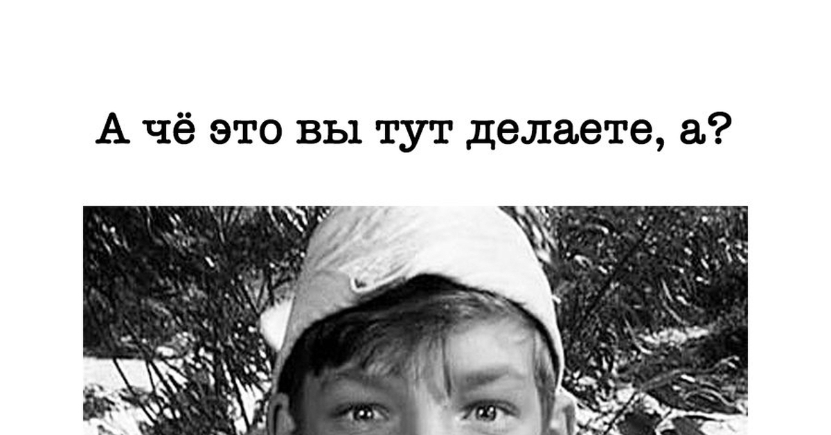День тишины же!?!?!? | Пикабу