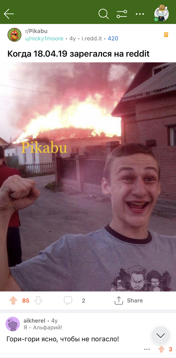 Второй пикабушный бунд | Пикабу