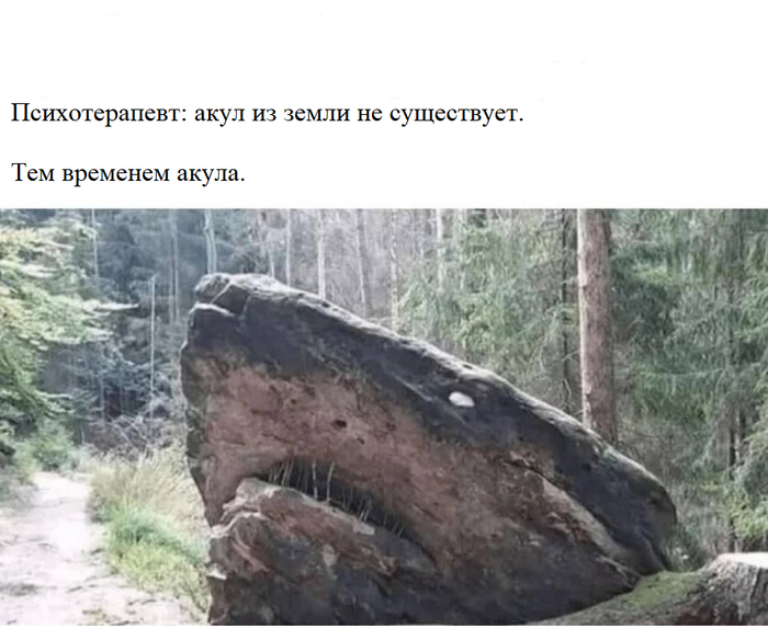 Будьте внимательны к акулам