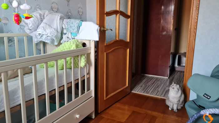 ����� �������� �� ����������� �������