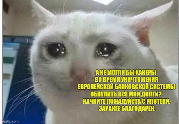 ����� �� ���� ������� ������� ���������� ���������� ������� ������ � ��������� 48 �����