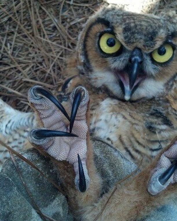 ���� �����, ������� �����!