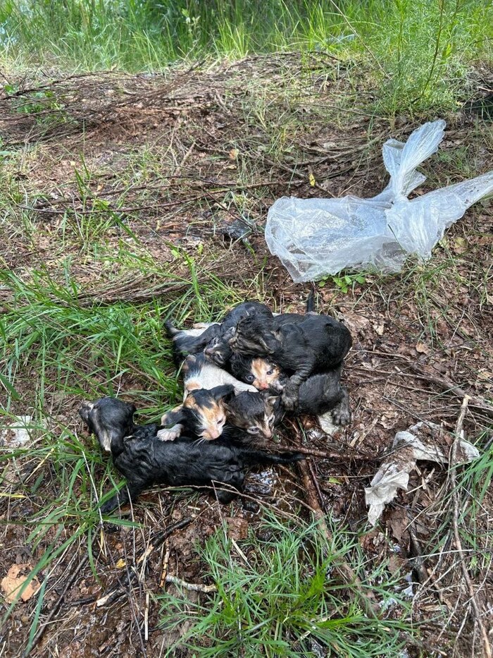 Займ в орехово зуево деньги в руки