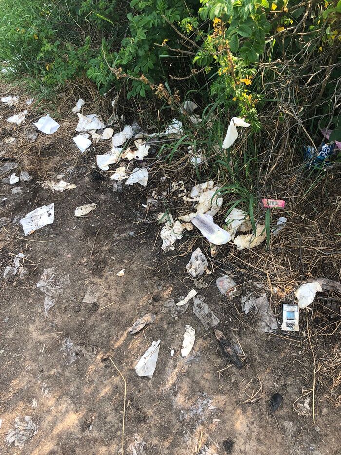 Зоны отдыха на Новоприозерском шоссе