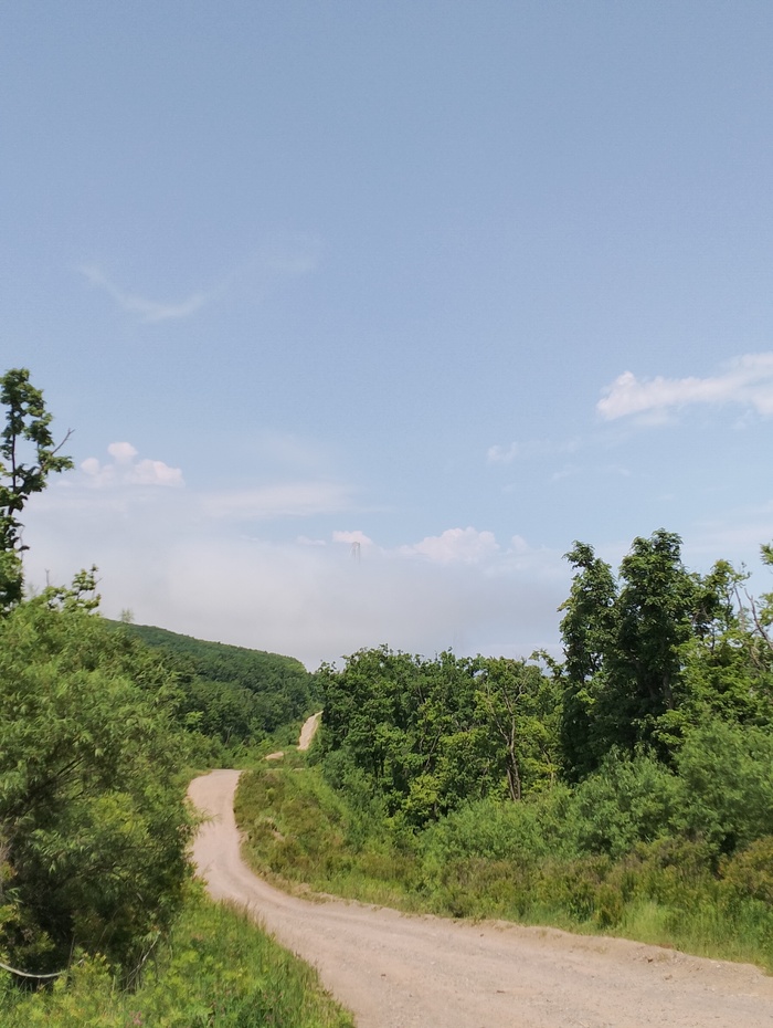 Сфоткай, типо я спрятался