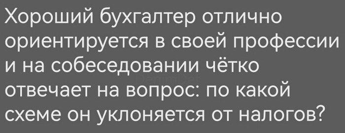 Собеседование | Пикабу