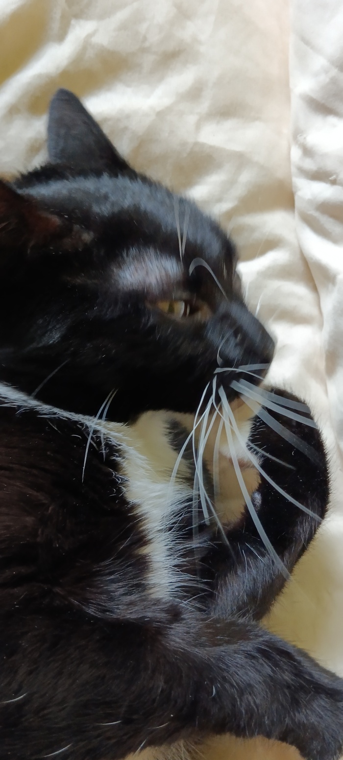 ����������� ����� �� � ��� ����� ��������