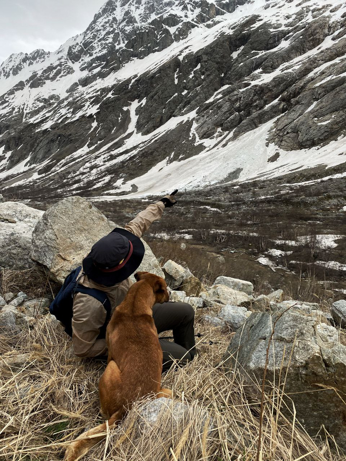 Посмотри, Дружок, мы тут не одни!