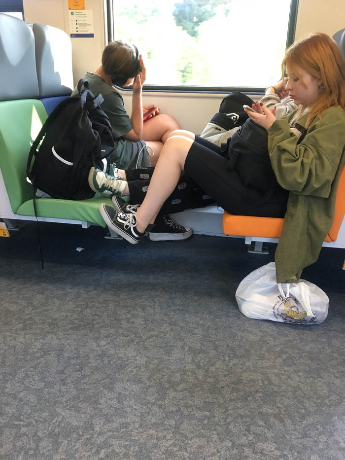 Хрюшка! Как вы относитесь к подобным действиям