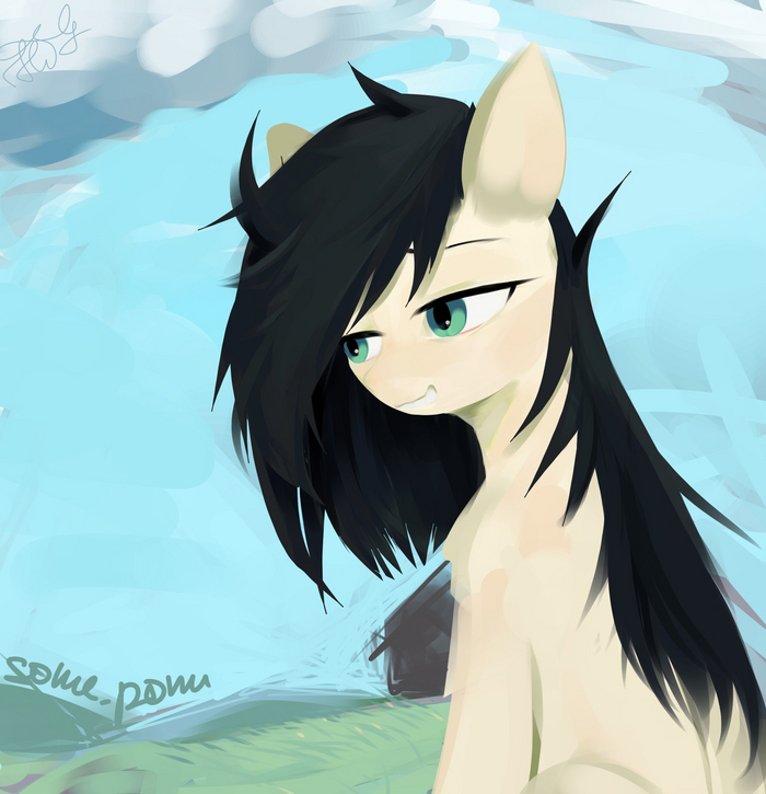  My Little Pony, Original Character, Someponu