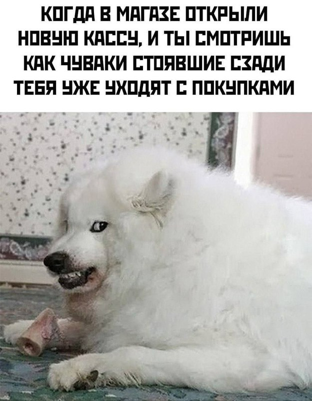 Наглость