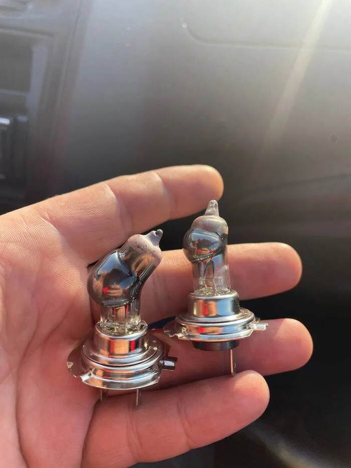 Удивительное