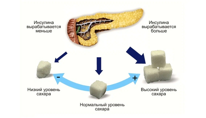 Дневник студента-медика. Изнурение