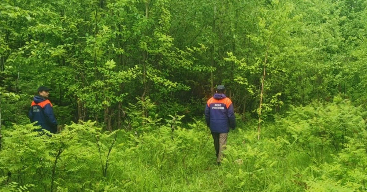 Привет, Андрей! | Пикабу