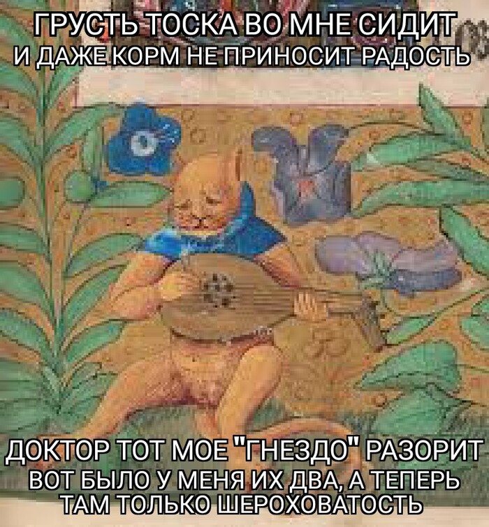 ����� ���� ������ ������ �������