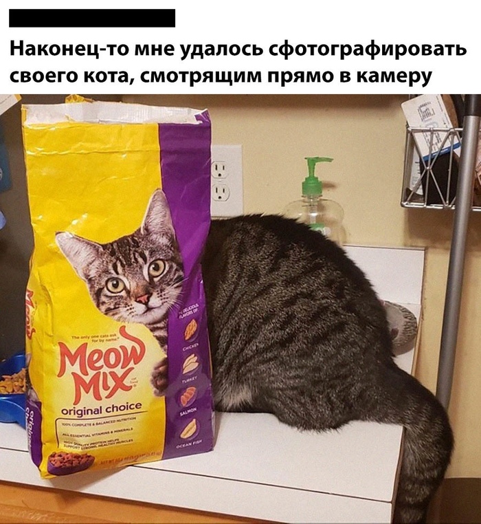Я это смог!