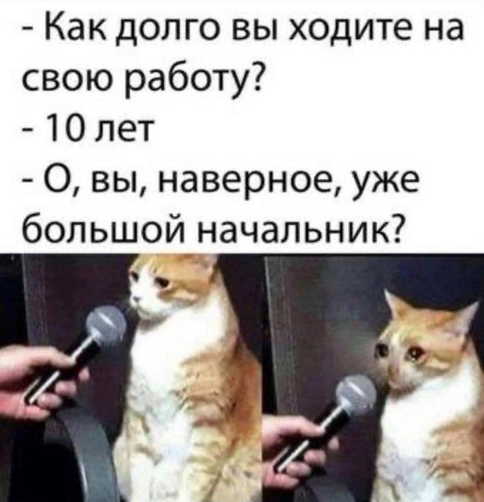 Ну как вам сказать