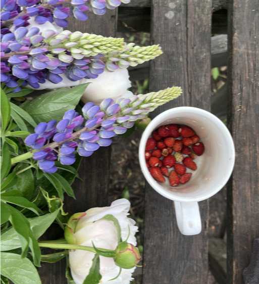 � ��� ������� ���� ����, ������������ ��������� ����� :)