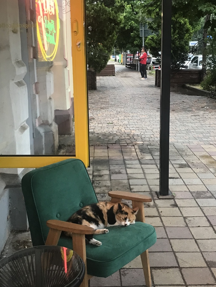 ����� ��� ������� ���� ����� ��� ��������� ����� ����� ����