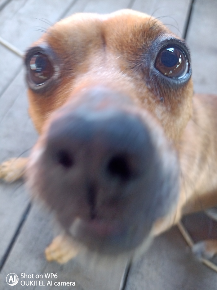 �� ��� �� ���������� ���� ������