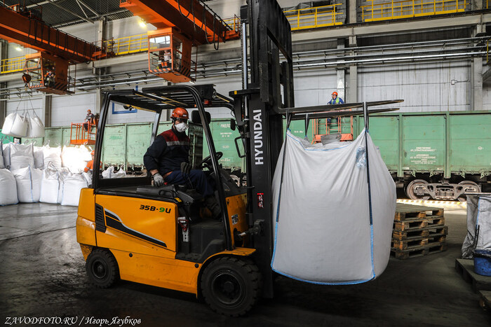 Из серии «Именно они делают Россию великой» / снято мной на Быстринском ГОКе