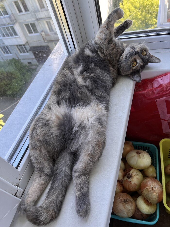       ,   , ,  ,  , , ,   ,  ,  , ,  , ,  , 