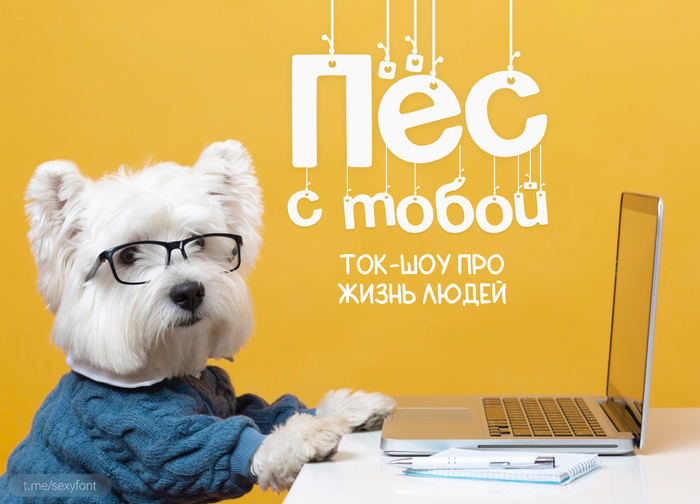    , , Photoshop, , , , , 