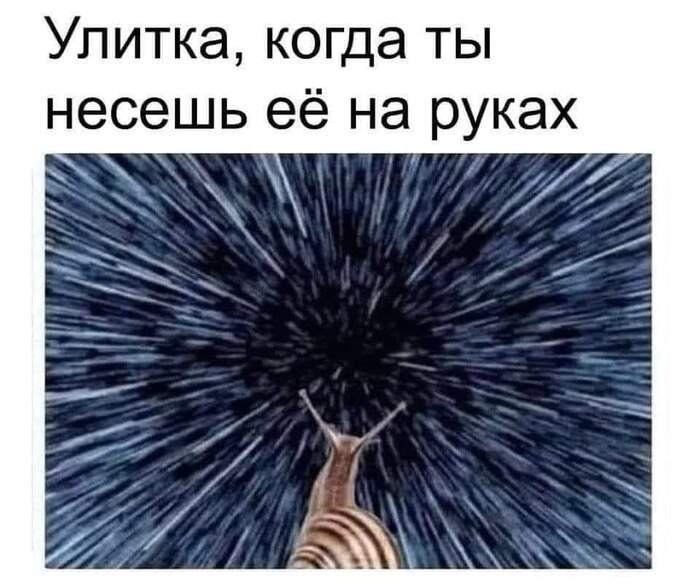 Улитка (теория относительности времени) | Пикабу