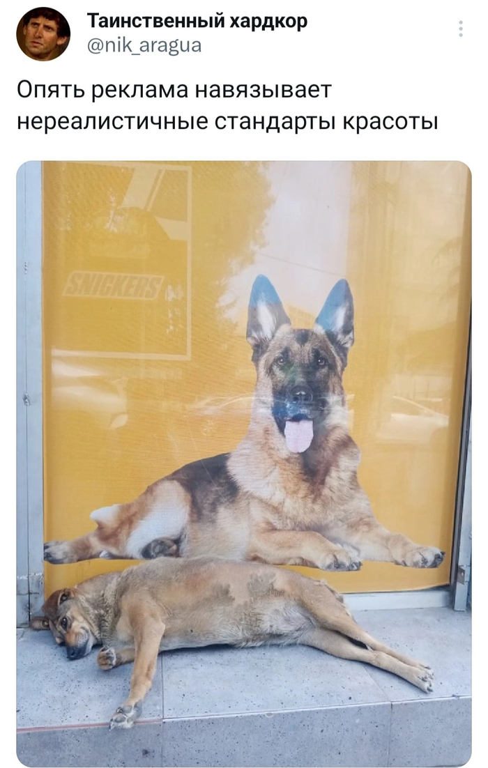 Нереалистичные стандарты