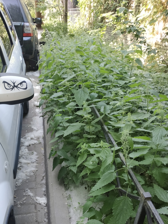 Битва проиграна!?