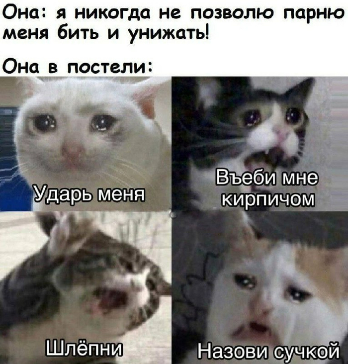   ,   , 