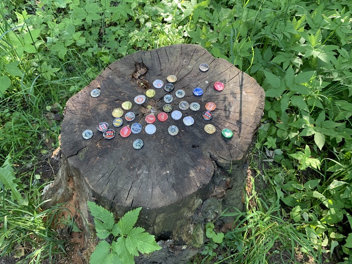 ������ ����