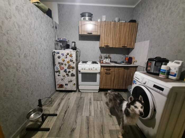       , , , , , , , 
