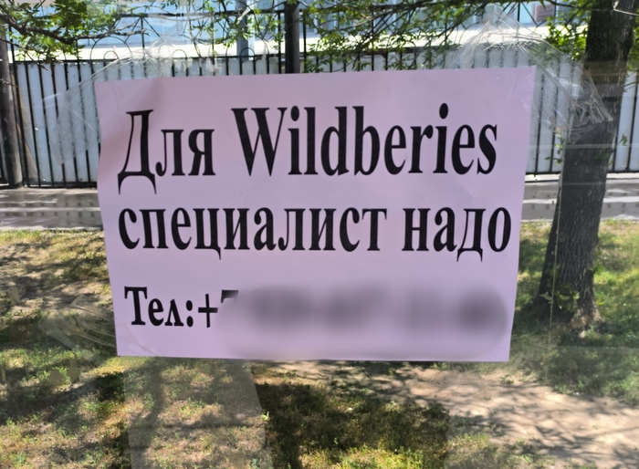    , Wildberries, 