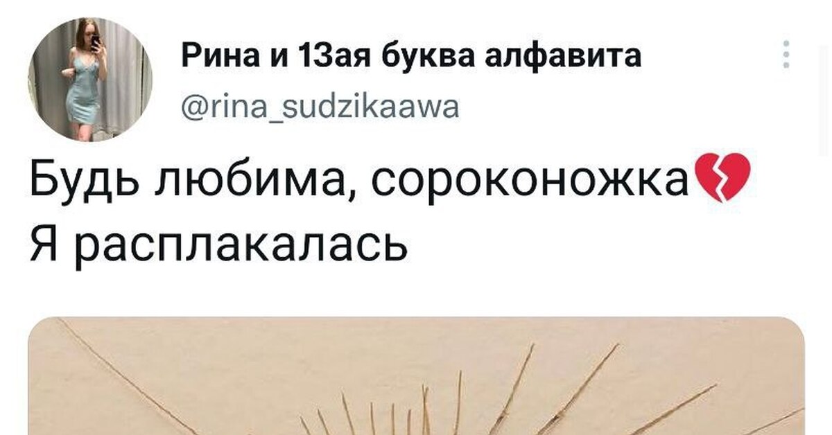 Домашняя сороконожка | Пикабу