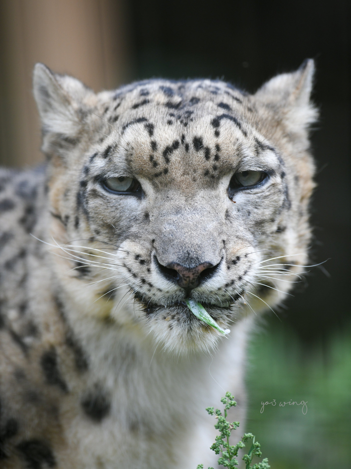 Не до конца проснулся