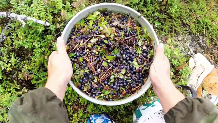 Маленький совет к ягодному сезону