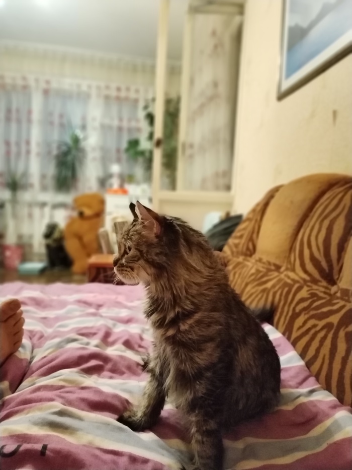    , , , ,  