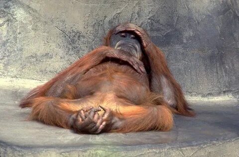 Я после смены