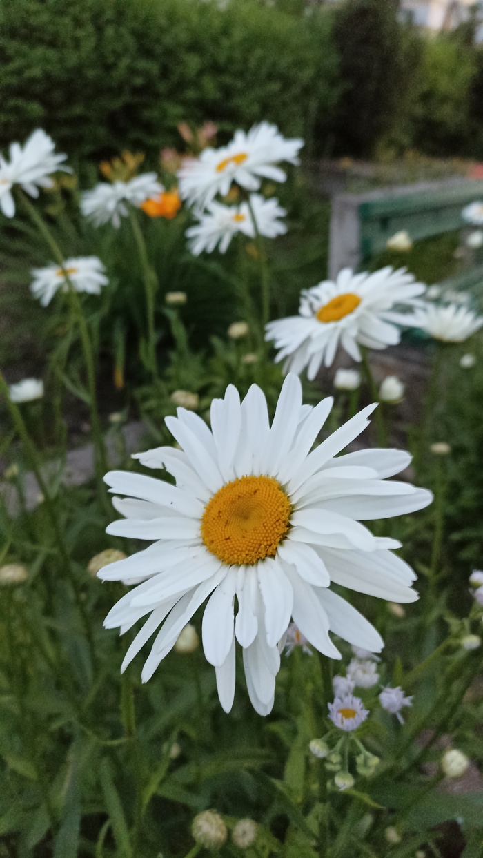 �������� ������� ��� ���