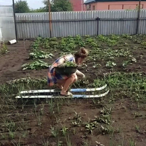 � ���� � �������. ���� � ���� �����...