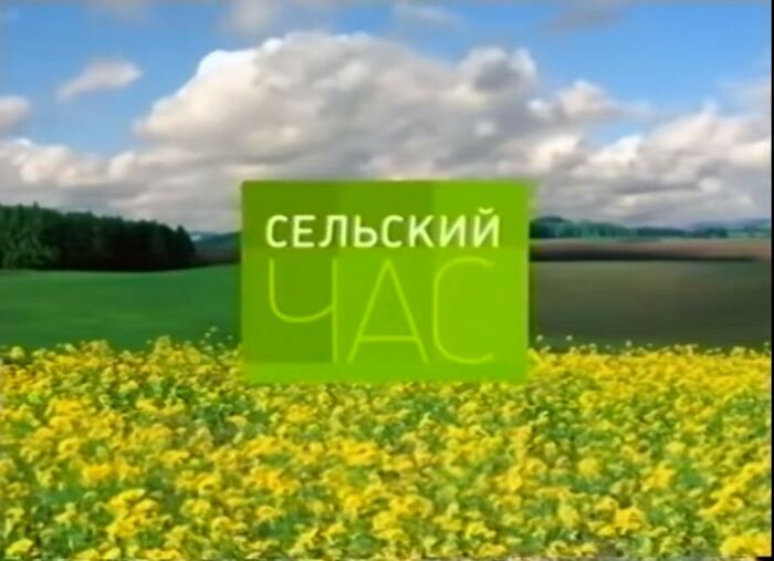 Пикабу сегодня))))