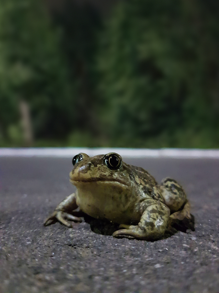 Всех со средой