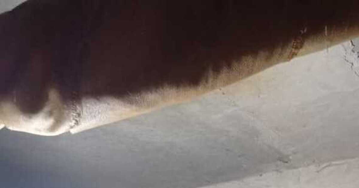 Хорошая волна. Присоединюсь. Сварщик-сантехник | Пикабу