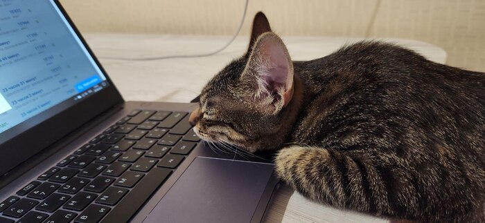 �� ����� ��� ������