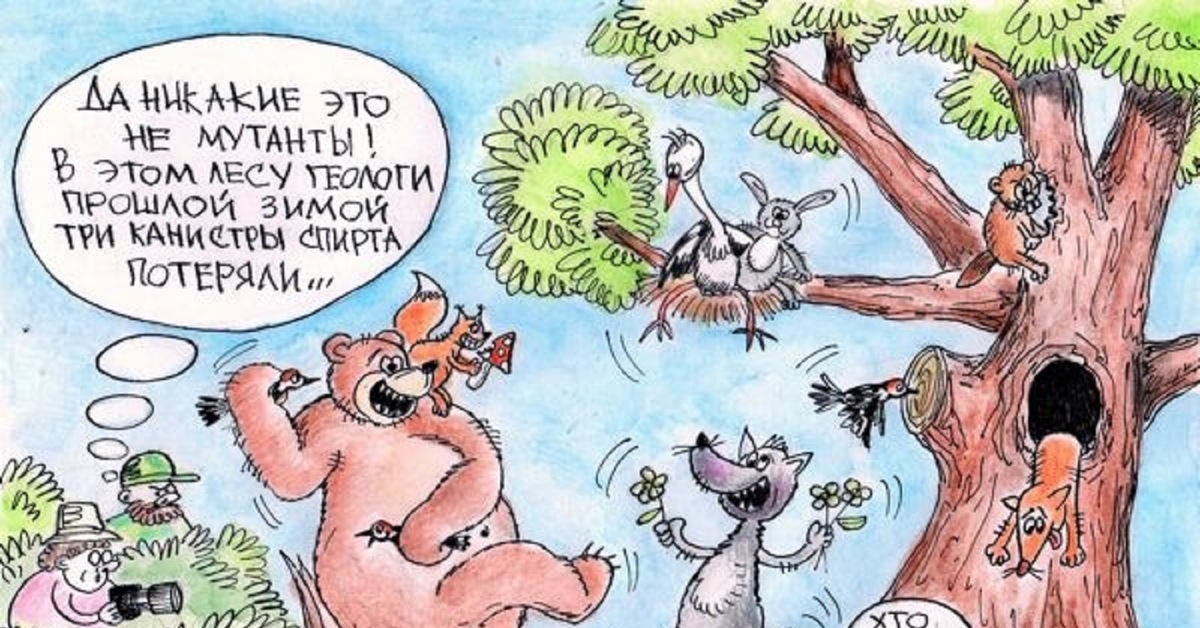Анекдоты Про Лесных Зверей